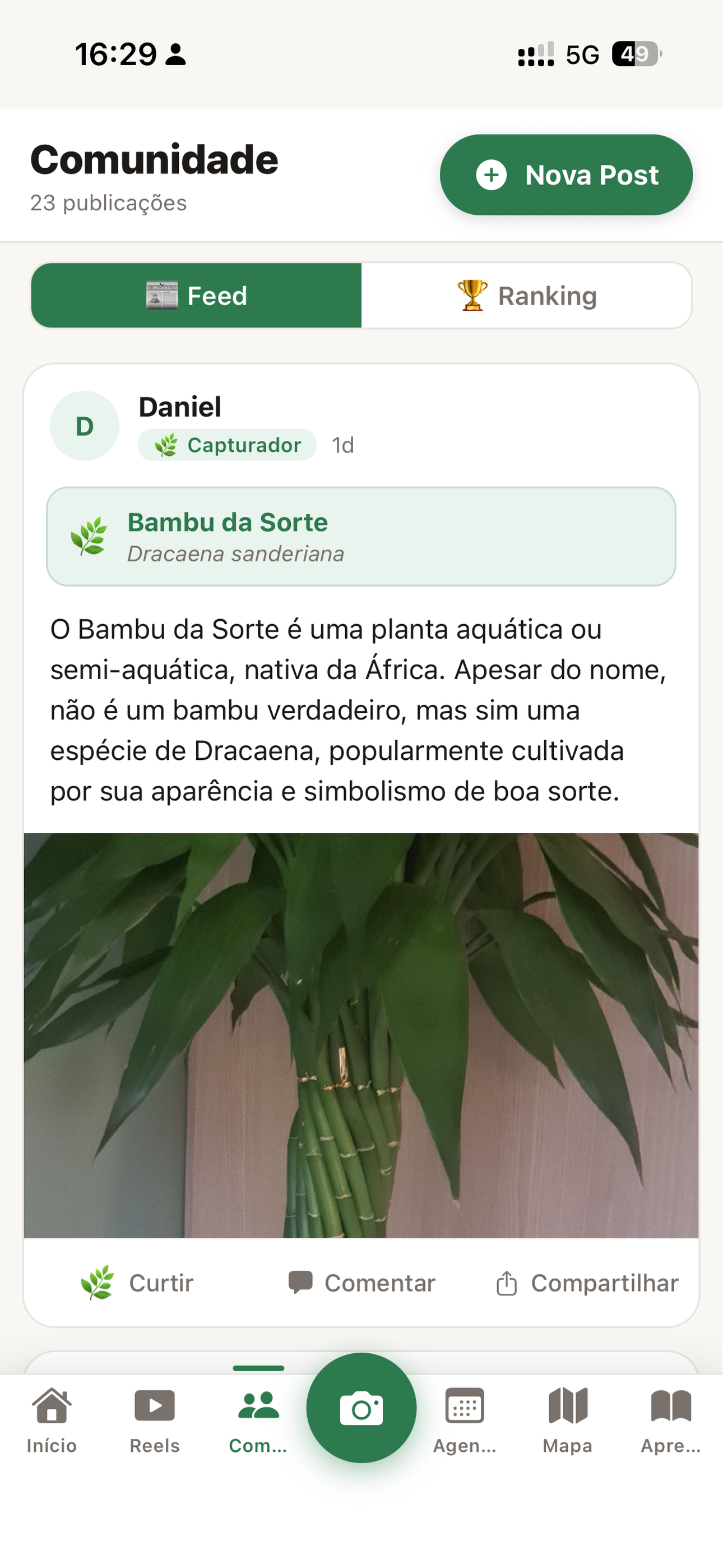 Comunidade e especialistas